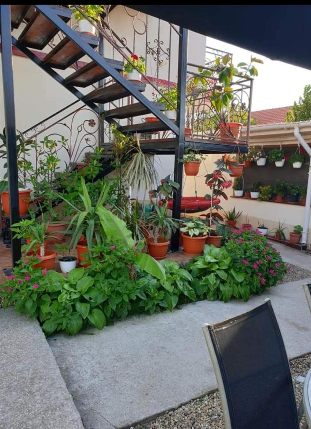 Hotel Vila Robert Schitu Exteriér fotografie