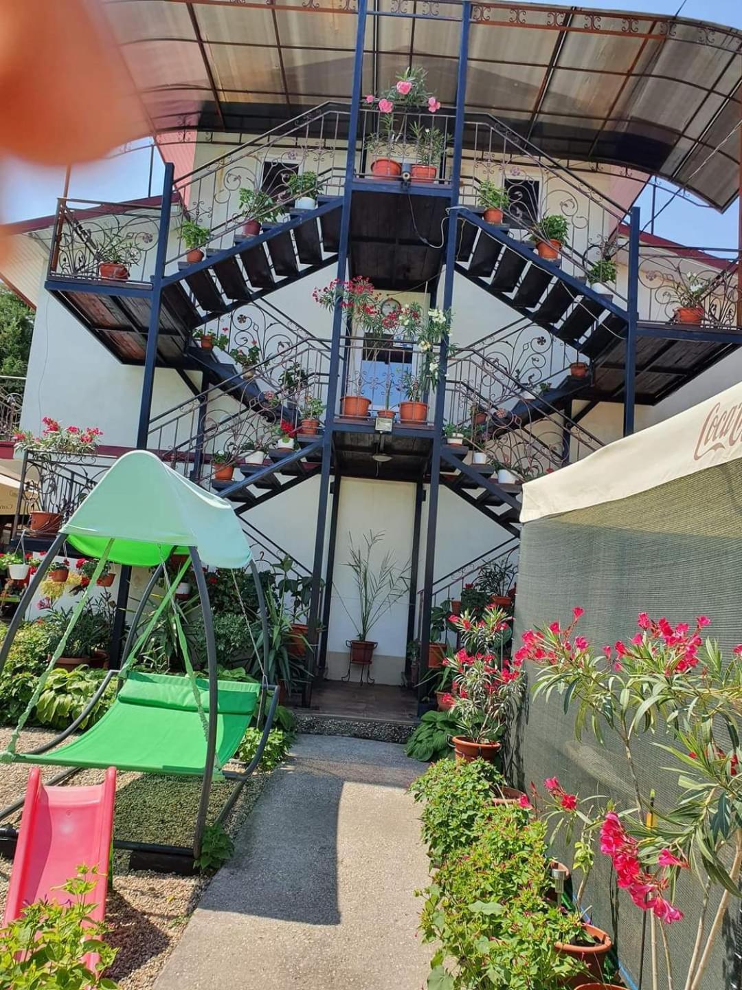 Hotel Vila Robert Schitu Exteriér fotografie